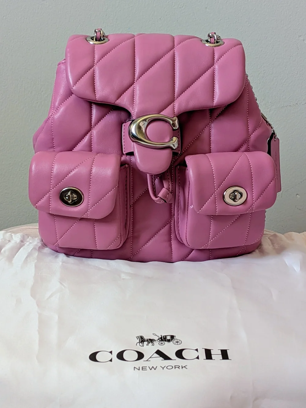 Quilted Tabby Leather Backpack In Fuschia With Silver Hardware 💖💕🩷
